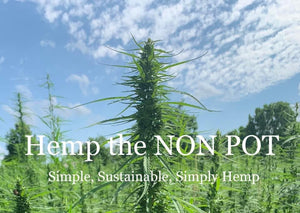 Hemp the NON POT logo